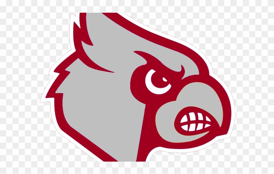 Cardinal Clipart Chubby - Louisville Cardinals Logo - Png Download