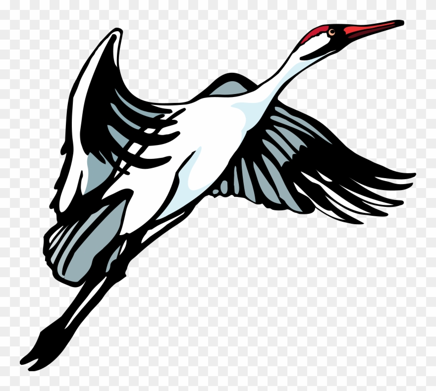 Bird 34 Free Vector - Freed To Love: Healing For Catholic Women Clipart