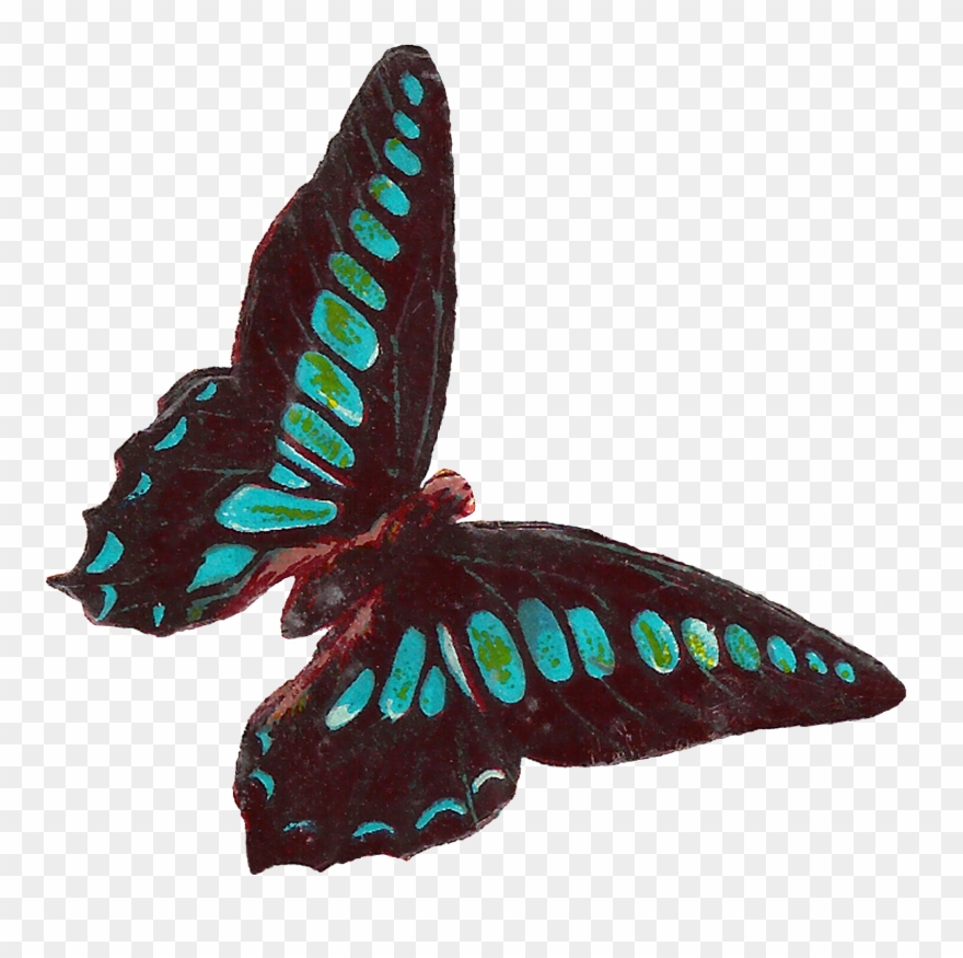 A Free Image Blog Offering Royalty-free, Printable - Clip Art - Png Download