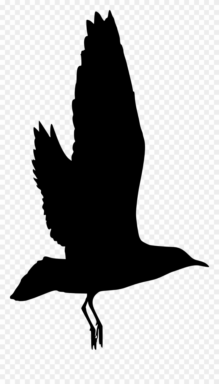 Free Download - Beak Clipart