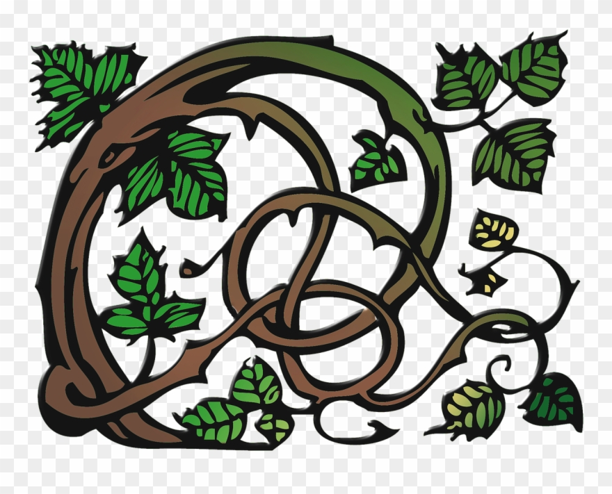 Ranke Clip Art Vine - Schlingpflanzen Clipart - Png Download