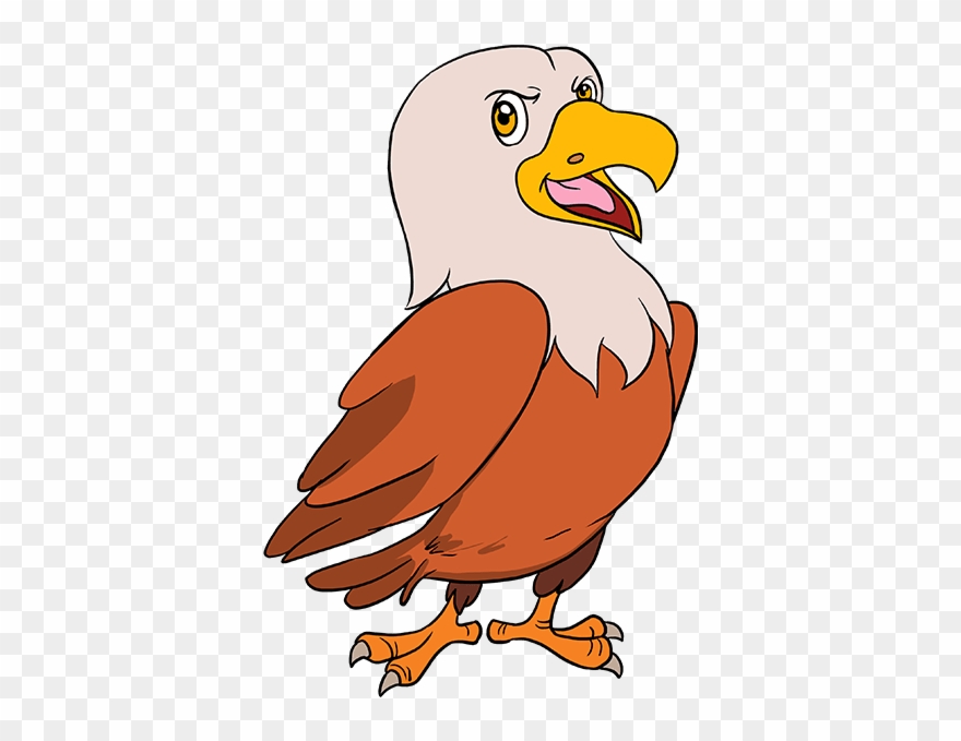Hawk Cartoon - Drawing Clipart