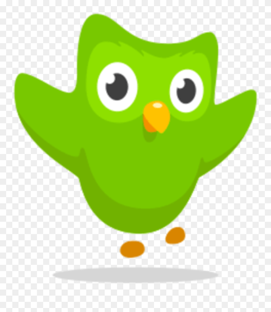 Duolingo - Duolingo Icon Clipart