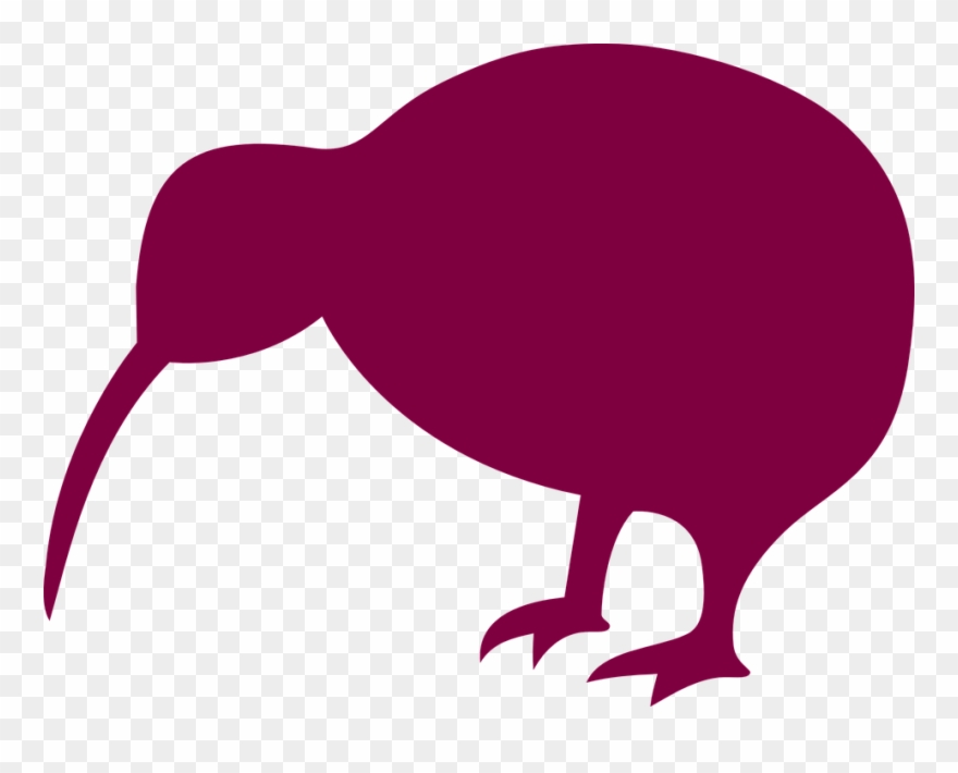 5 Things I Learned About New Zealand - Kiwi Bird Clip Art - Png Download