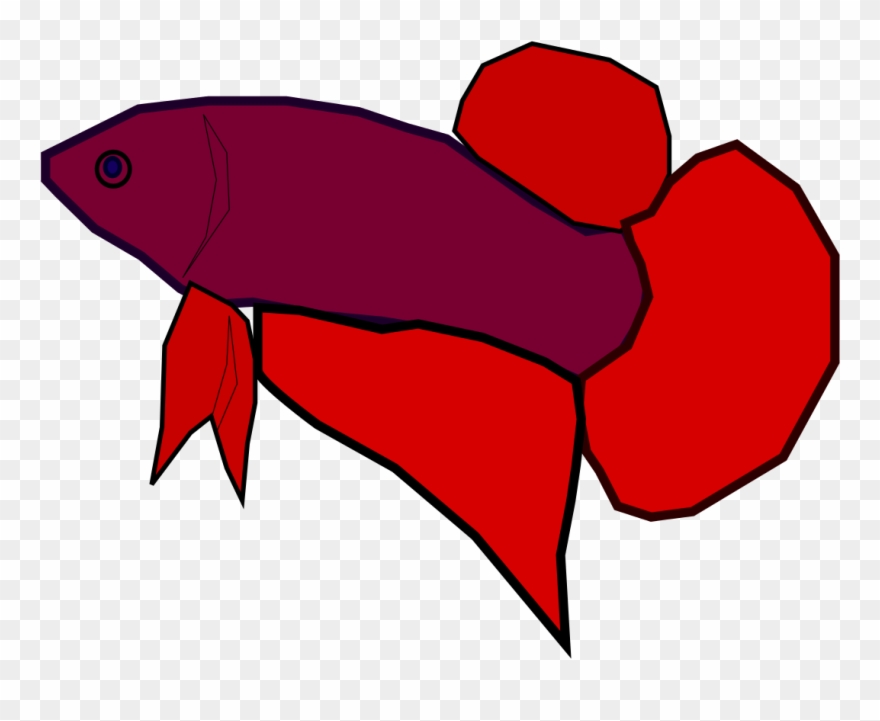 File - Betta Splendens - Svg - Siamese Fighting Fish Clipart