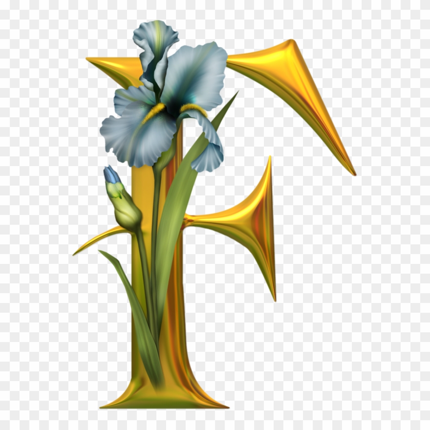 Юлия On Pinterest - Beautiful Alphabets Only F Clipart