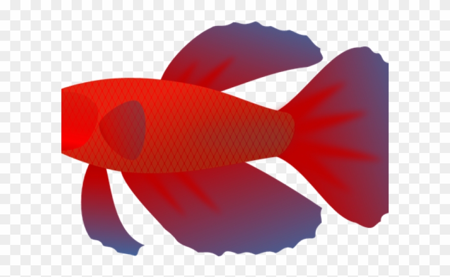 Transparent Background Fish Clipart - Png Download