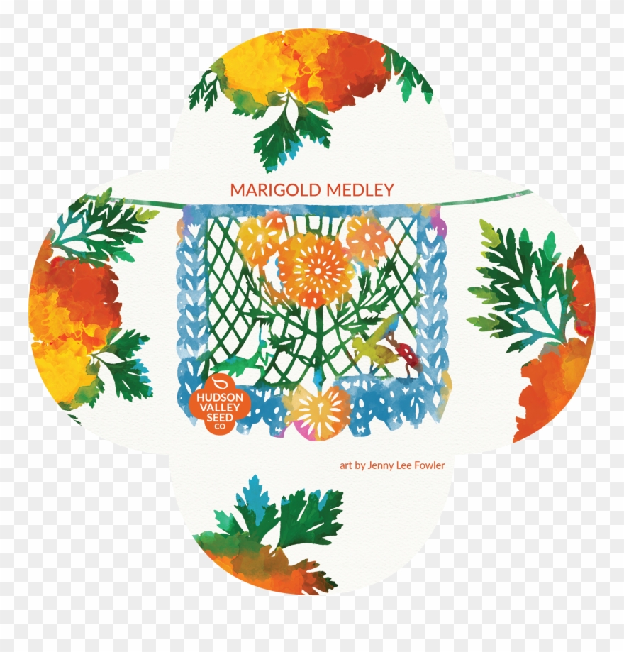 Seed Clipart