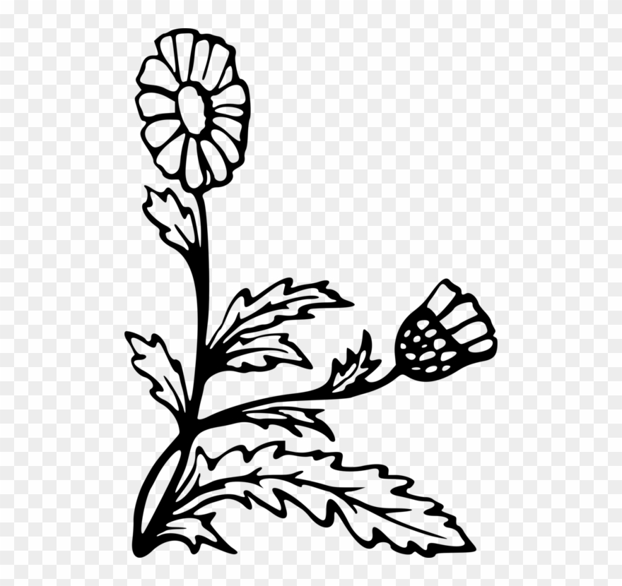 Floral Design Flowering Plant Computer Icons Petal - Clip Art - Png Download