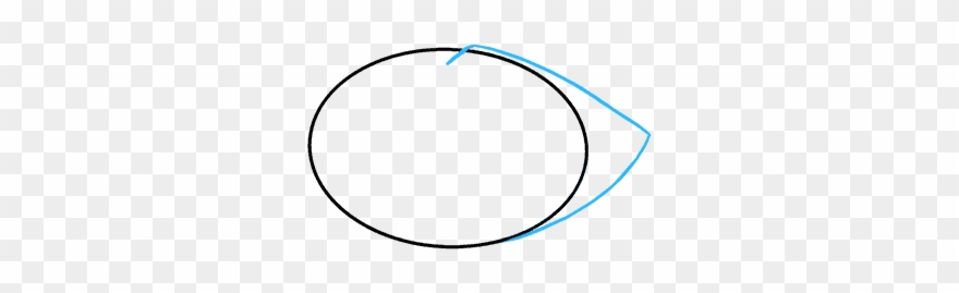 How To Draw Raccoon - Circle Clipart