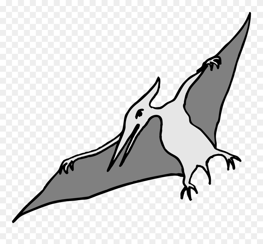 Pterodactyl Clip Art - Png Download