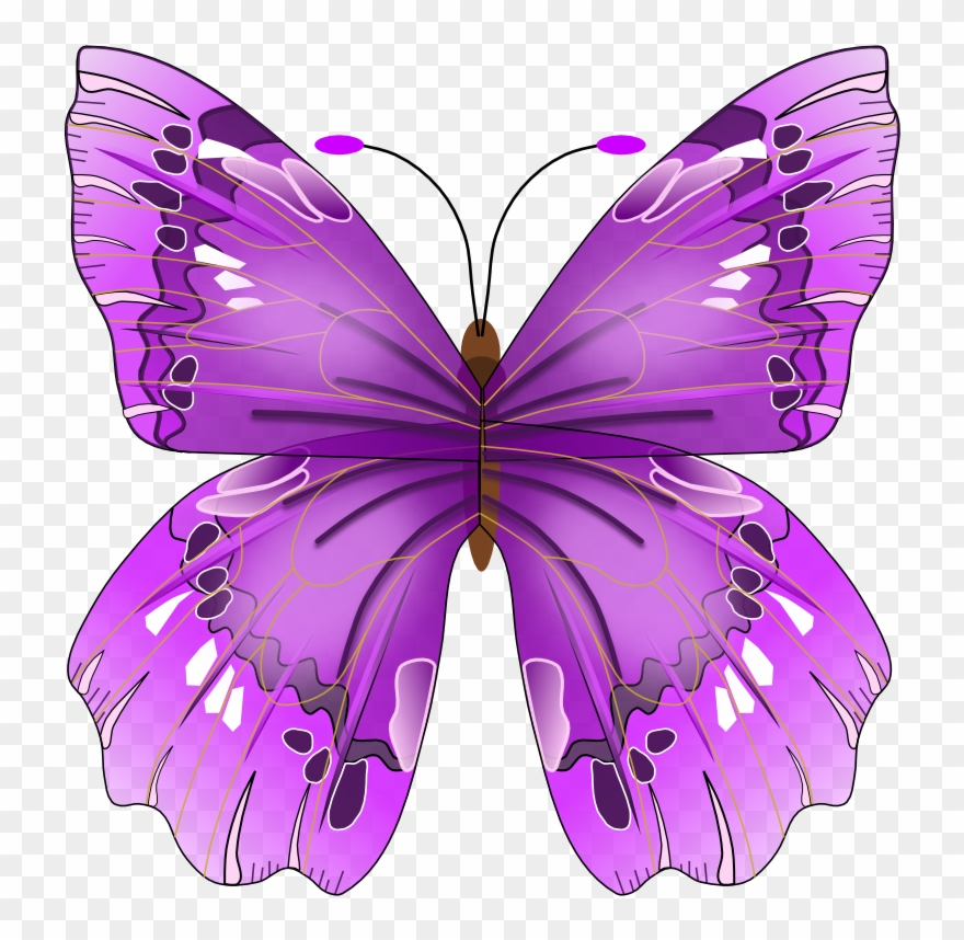 Awareness Butterfly Square Car Magnet 3" X 3" Clipart