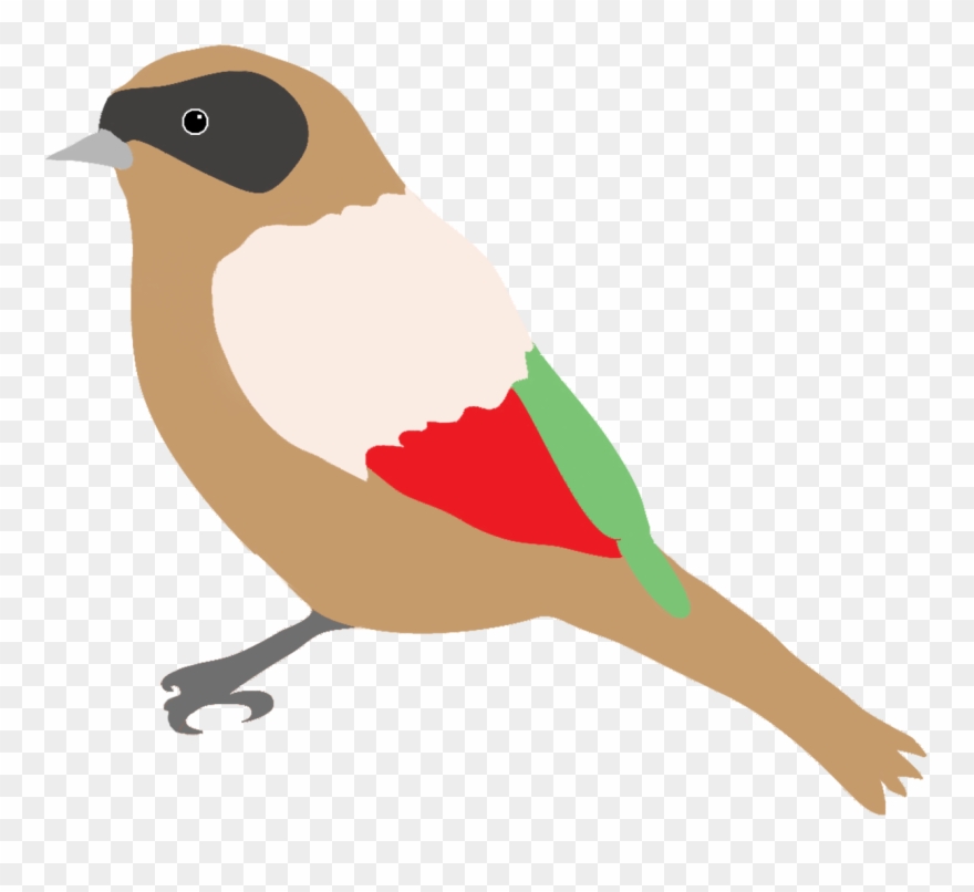 Drawn Bird Transparent - Birds Drawing Png Clipart