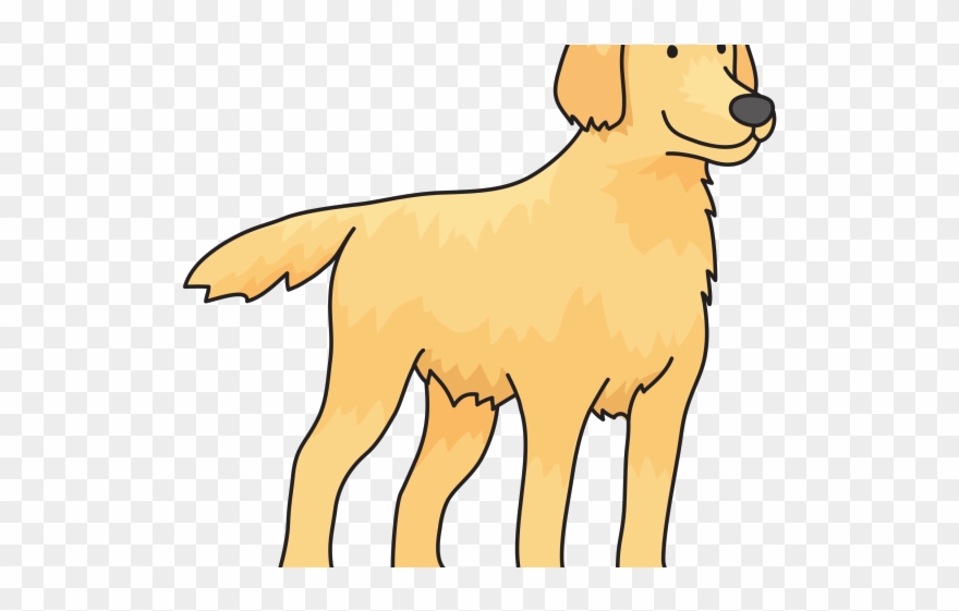 Golden Retriever Clipart Transparent - Golden Retriever Drawing Simple - Png Download