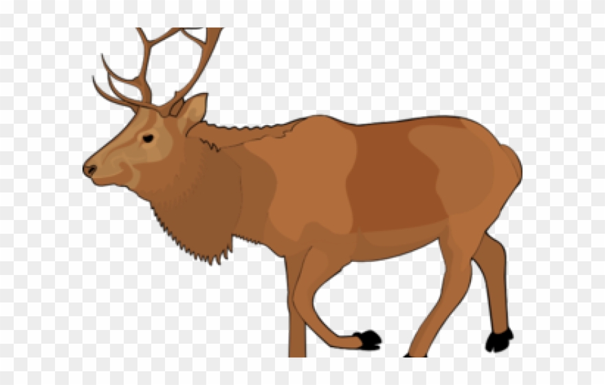 Free Clipart Reindeer - Real Reindeer - Png Download