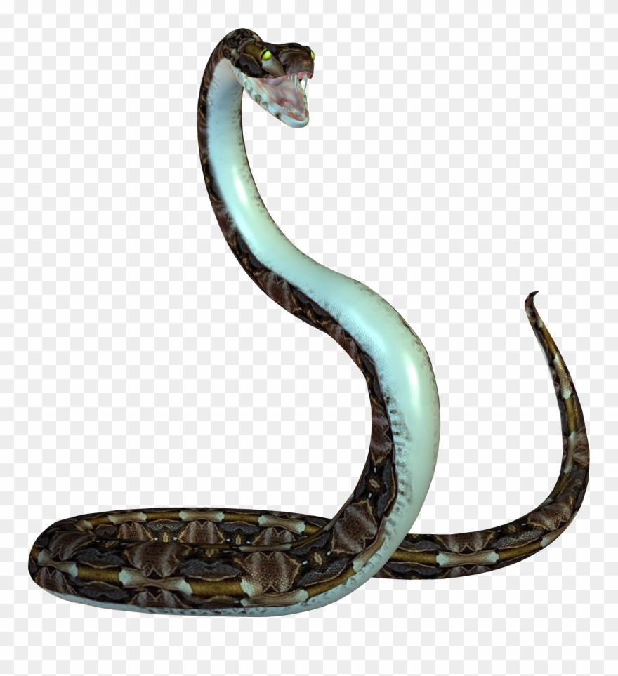 Png Photo, Clip Art, Animation, Animals, Pictures, - Transparent Background Snake Png
