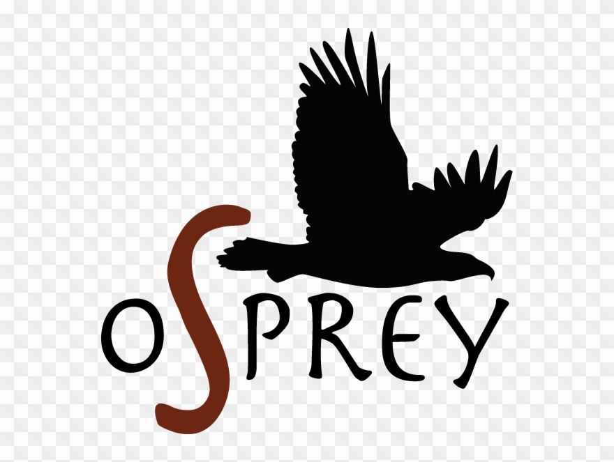 Osprey Clipart