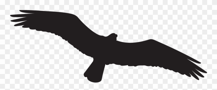 Osprey Clipart Transparent - Osprey Silhouette - Png Download