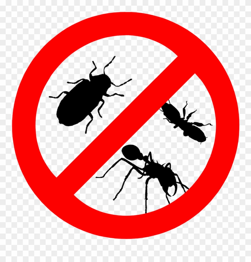 #111 01 - Don T Poop Dog Clipart