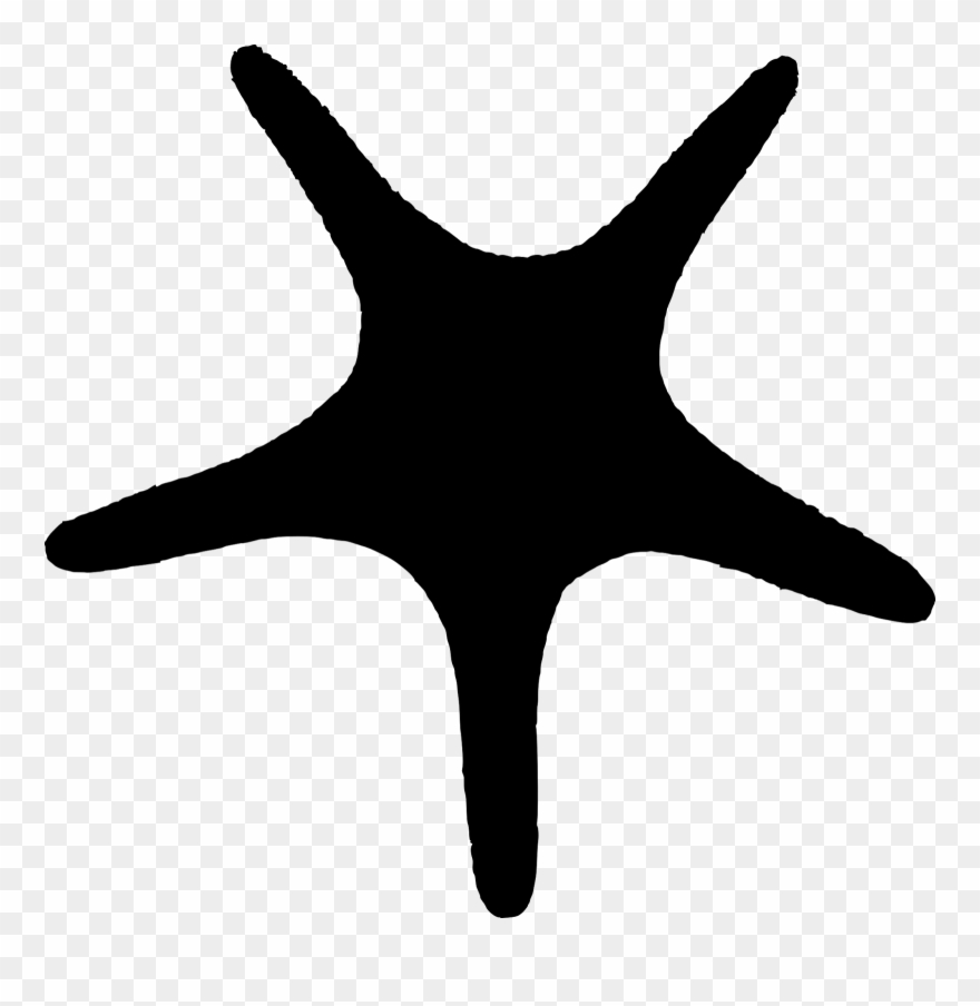 And A More Symmetrical Star Fish - Starfish Silhouette Png Clipart
