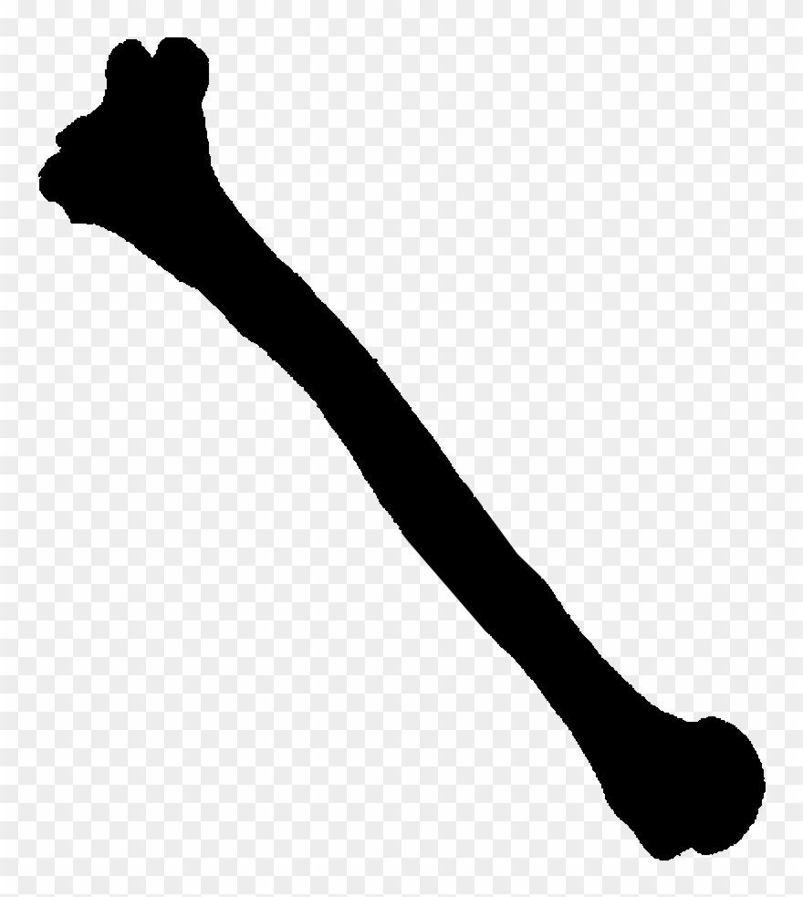 A Conch To Represent Shells - Leg Skeleton Silhouette Png Clipart