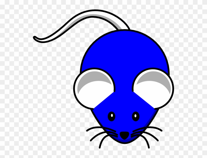 Blue White Mouse Svg Clip Arts 600 X 592 Px - Png Download