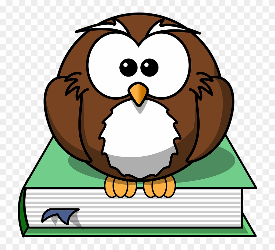 Wise Owl - Cartoon Owl Shower Curtain Clipart