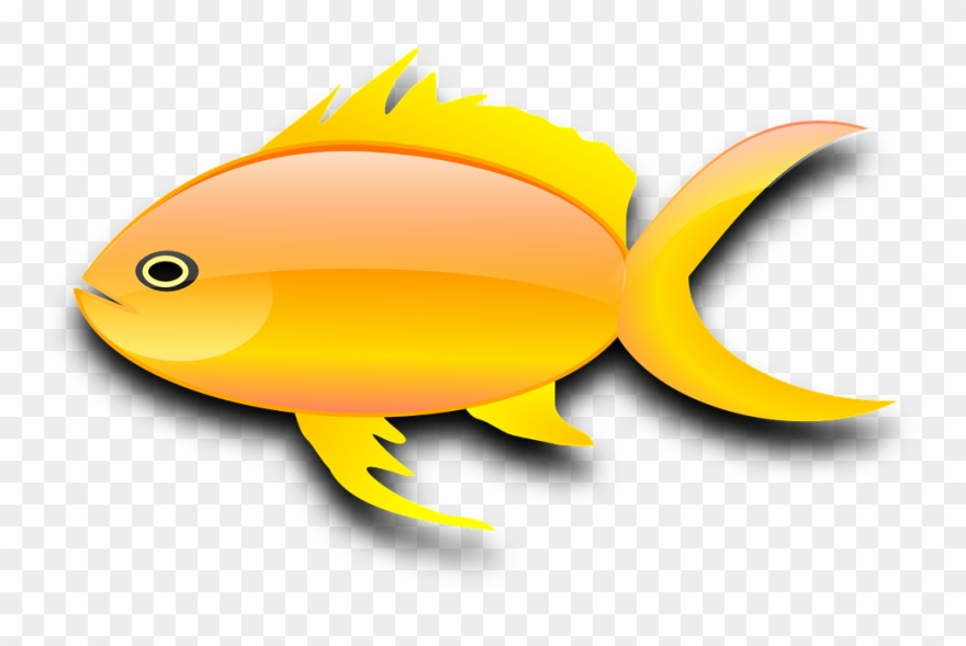 Gold Fish Clipart Gambar Ikan - Gold Fish Clip Art - Png Download