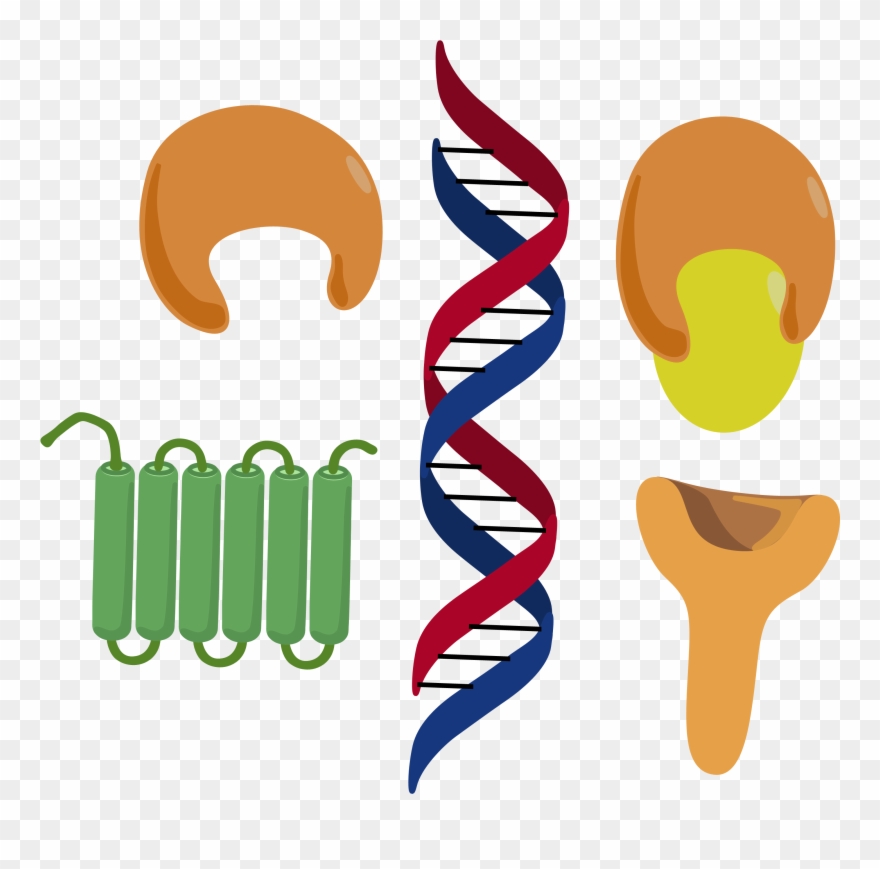 About Conference Clipart