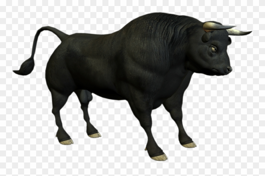 Image Black And White Cattle Clip Art Transprent - Bull Png Transparent Png