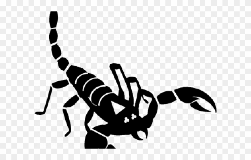 Scorpion Icon Clipart