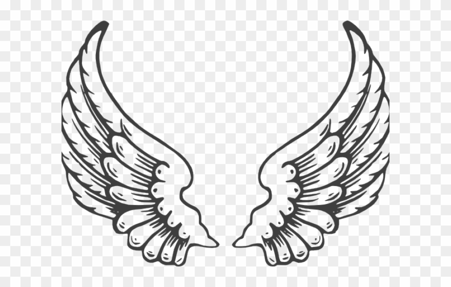 Wings Clipart Eagle - Angel Wings Jpg - Png Download