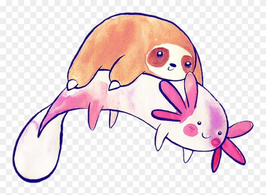 Report Abuse - Axolotl And Sloth Clipart