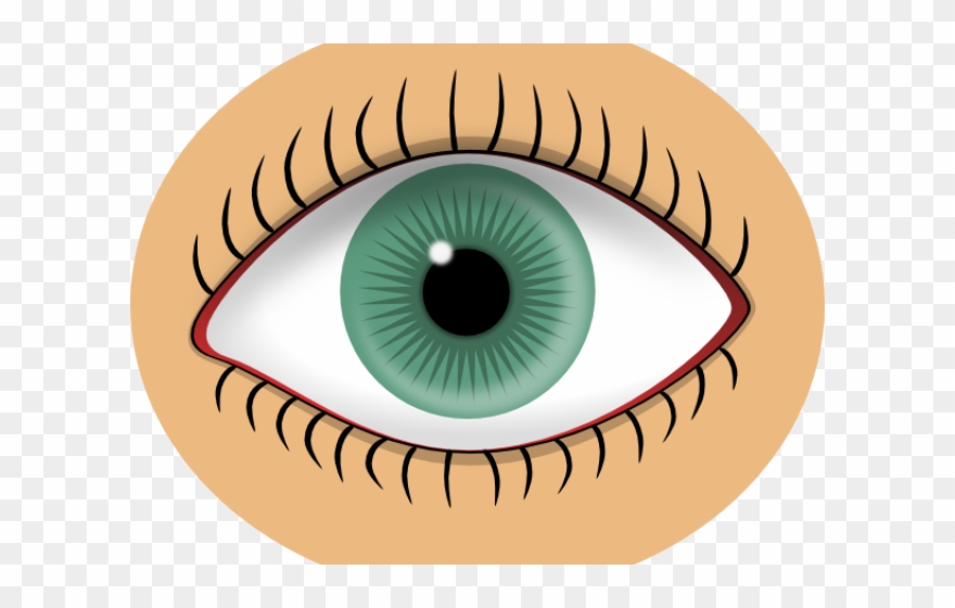 Eye Clip Art - Png Download