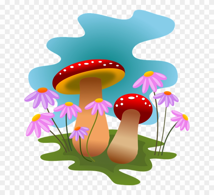 Mushrooms, Autumn, Fungi, Forest, Flowers, Nature - Flores Bosque Png Clipart