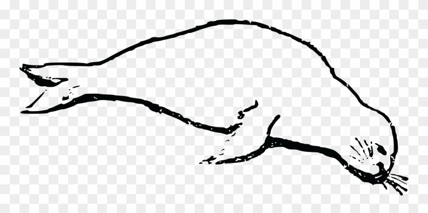 Free Clipart Of A Seal - Imagenes De Lobos Marino Chiquitos Sin Color - Png Download