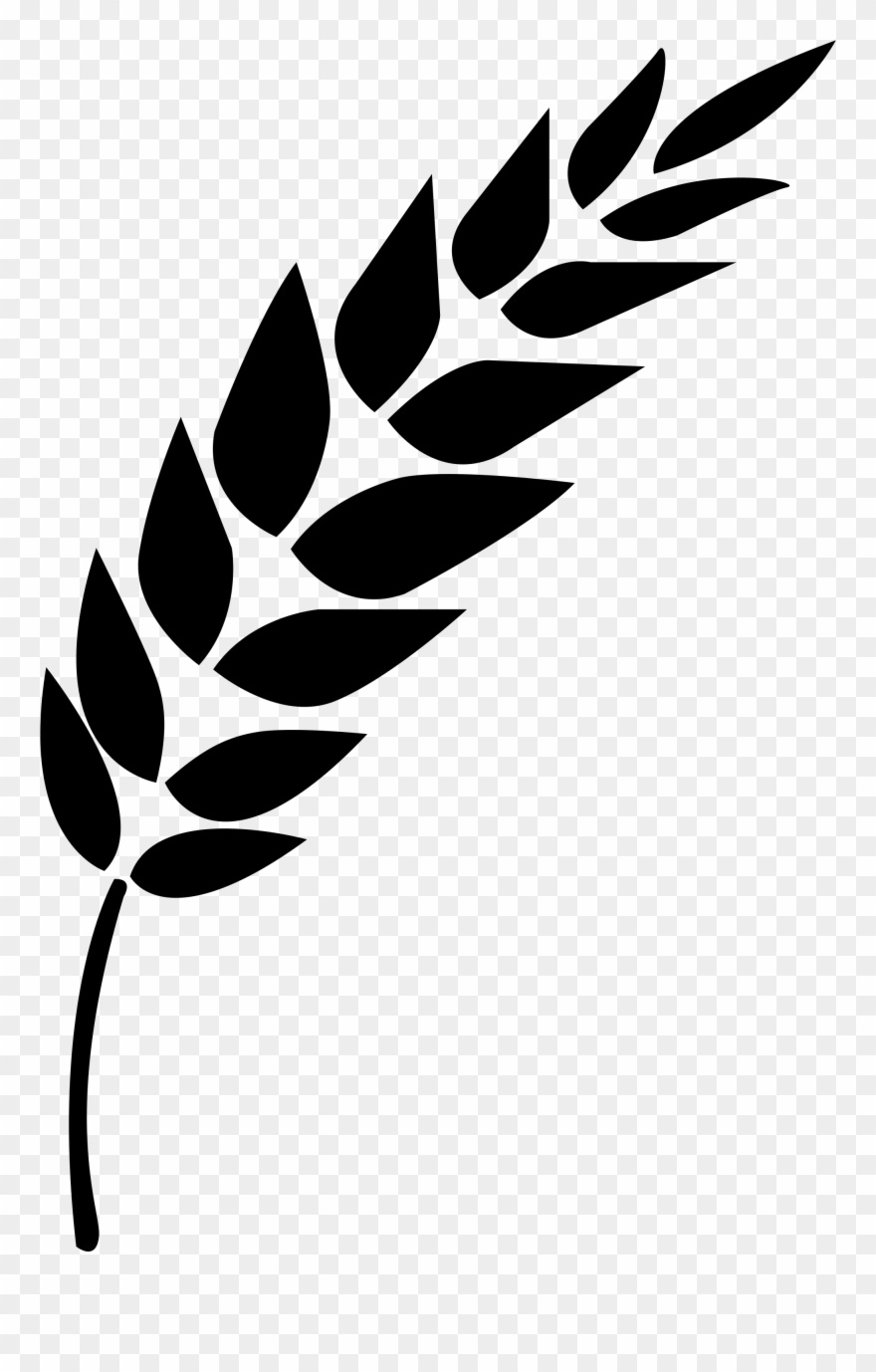 Wheat Vector - Black And White Wheat Stalk Clipart