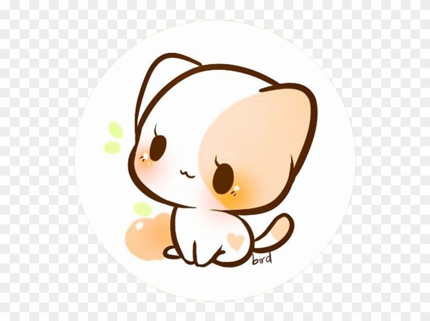 Kawaii Cat Gato Tierno Tumblr Japan - Kawaii Chibi Animals Clipart