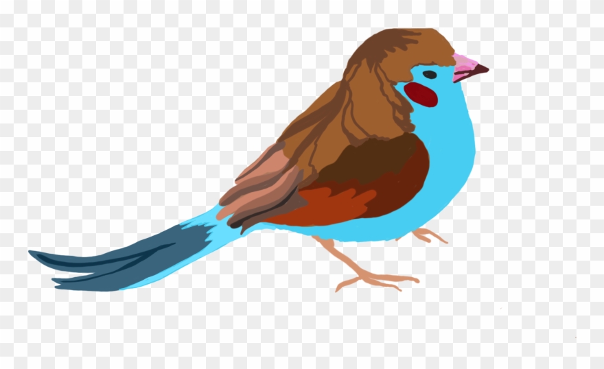 Bird Demi - Clipart
