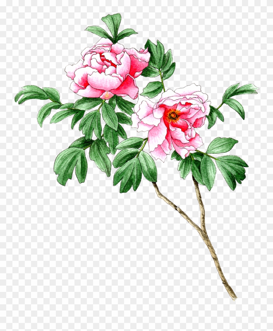 Nursery News - Berkeley Horticultural Nursery Clipart