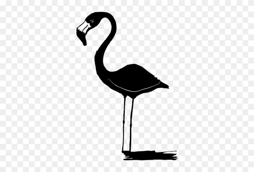 Logo Para Aitor Flamingos - Logo Clipart