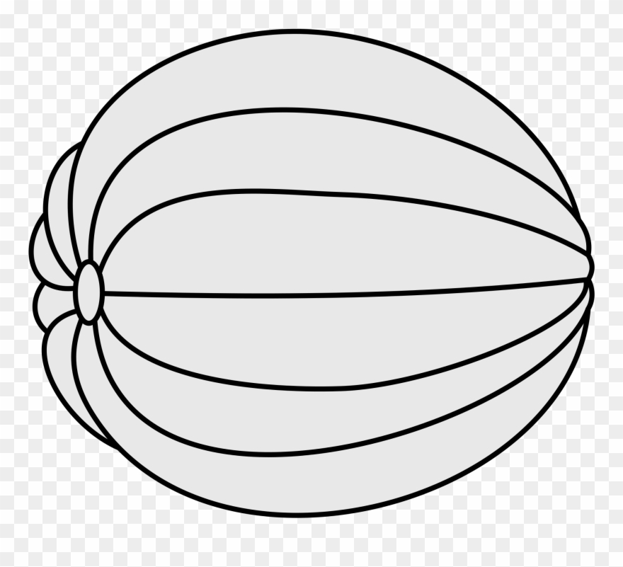 Jpg Black And White Library Melon Drawing - Drawing Pic Of Melon Clipart