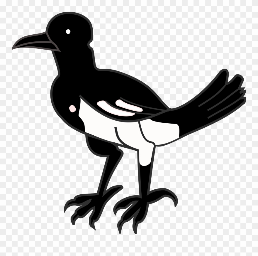 Open - Burung Murai Hitam Putih Clipart