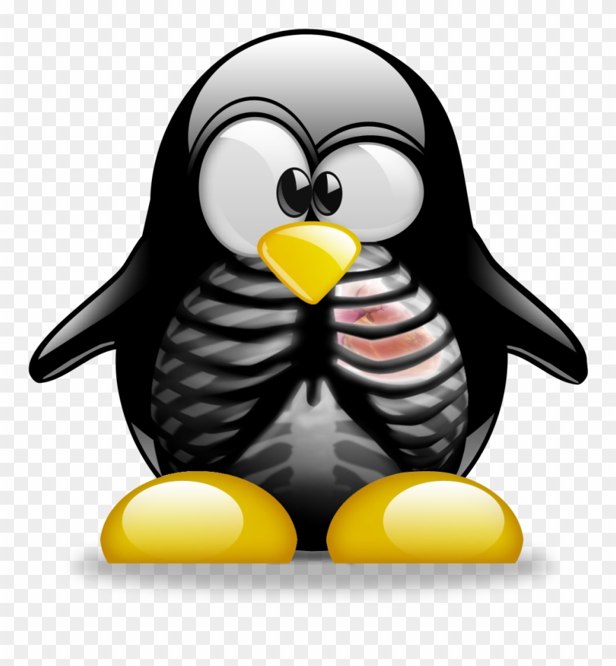 Tux X-ray Penguin Art, Linux, Penguins, Penguin, Linux - Pingouin Linux Clipart