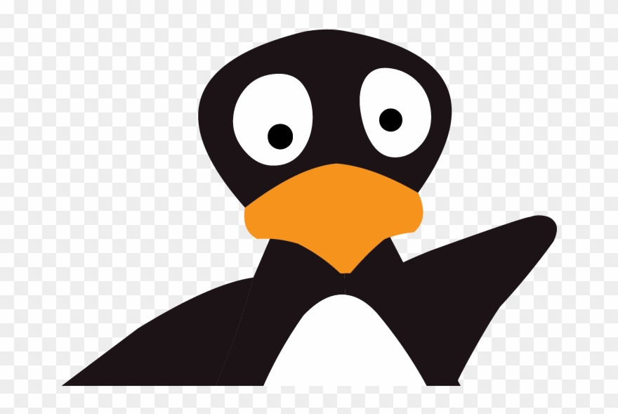 About The Author - St Math Clipart