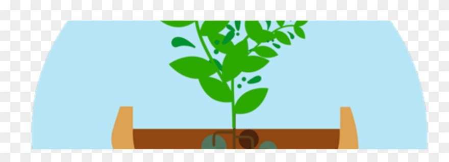 How To Adopt The Secret To Start-up Success - Mindset Clipart