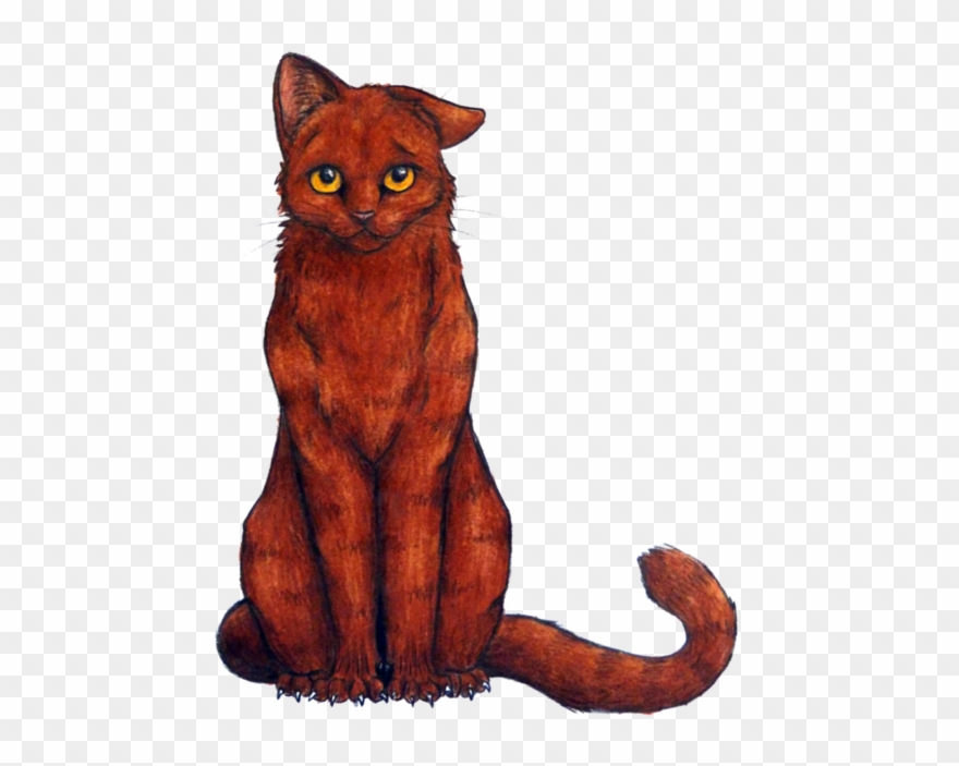 Fur Clipart Red Cat - Red Tabby Warrior Cat - Png Download