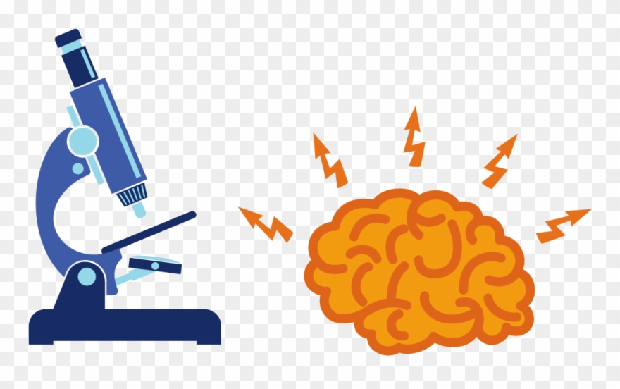 Brains Clipart Orange - Brain Using Microscope Cartoon - Png Download