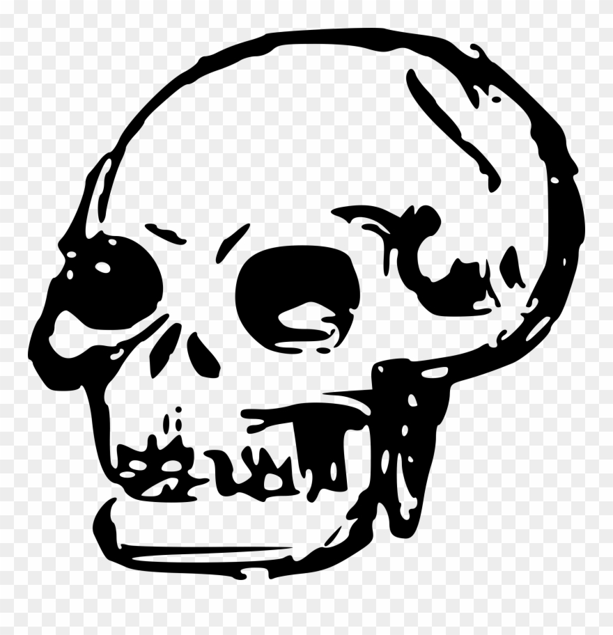 Skeleton Head Clipart Transparent - Skull Clipart - Png Download