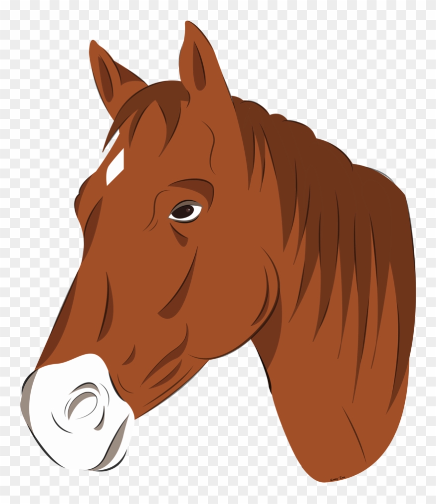 Horse Head Png - Vector Horse Head Png Clipart